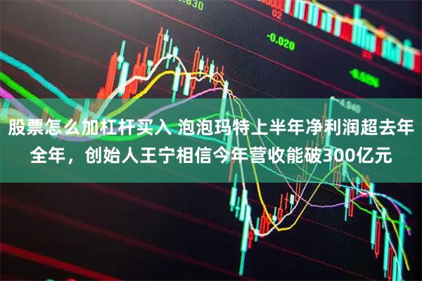 股票怎么加杠杆买入 泡泡玛特上半年净利润超去年全年，创始人王宁相信今年营收能破300亿元